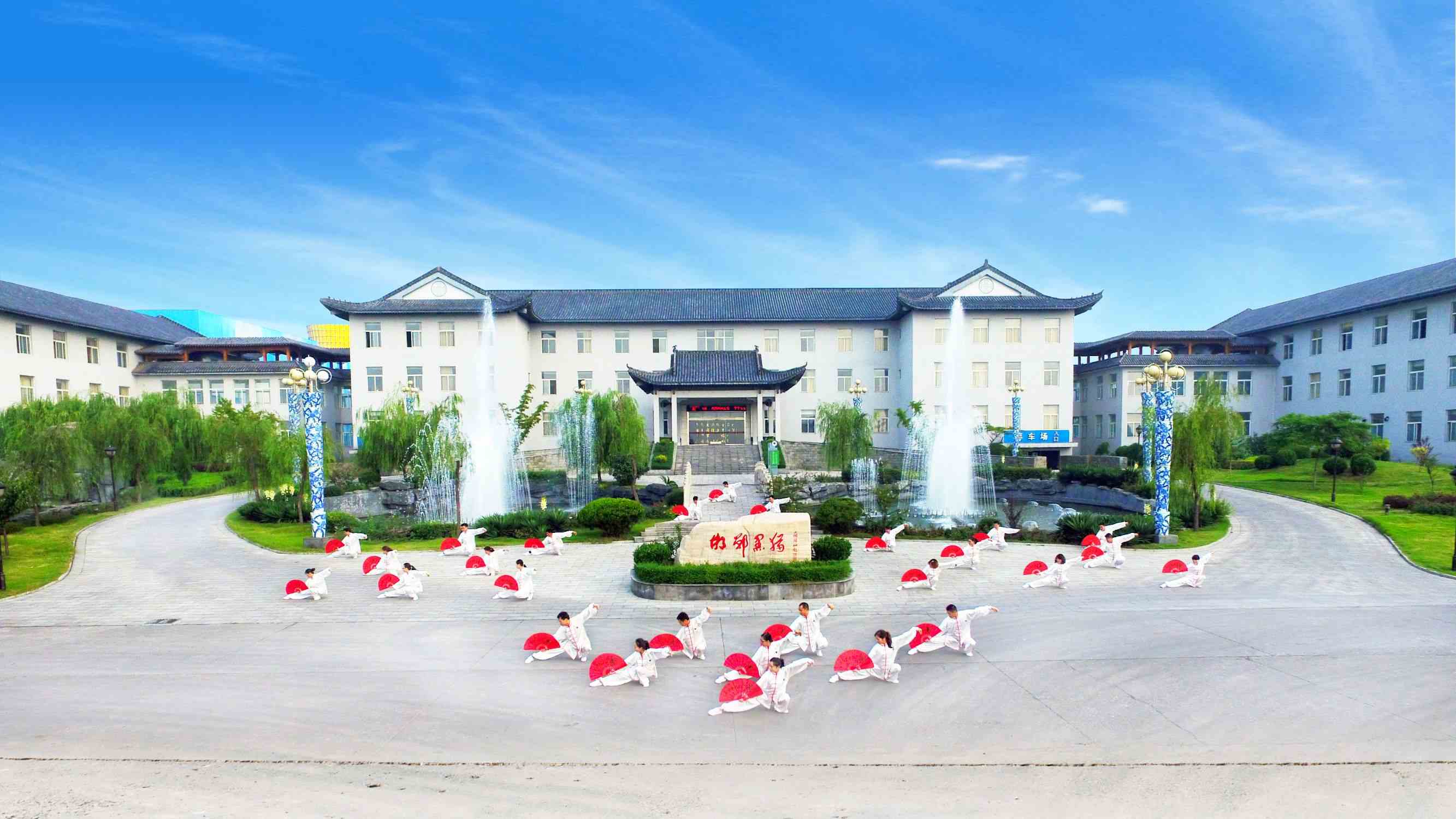 邯鄲黑貓?zhí)亢谟邢挢?zé)任公司