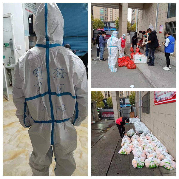 光影魔術(shù)手拼圖.jpg 光影魔術(shù)手拼圖.jpg