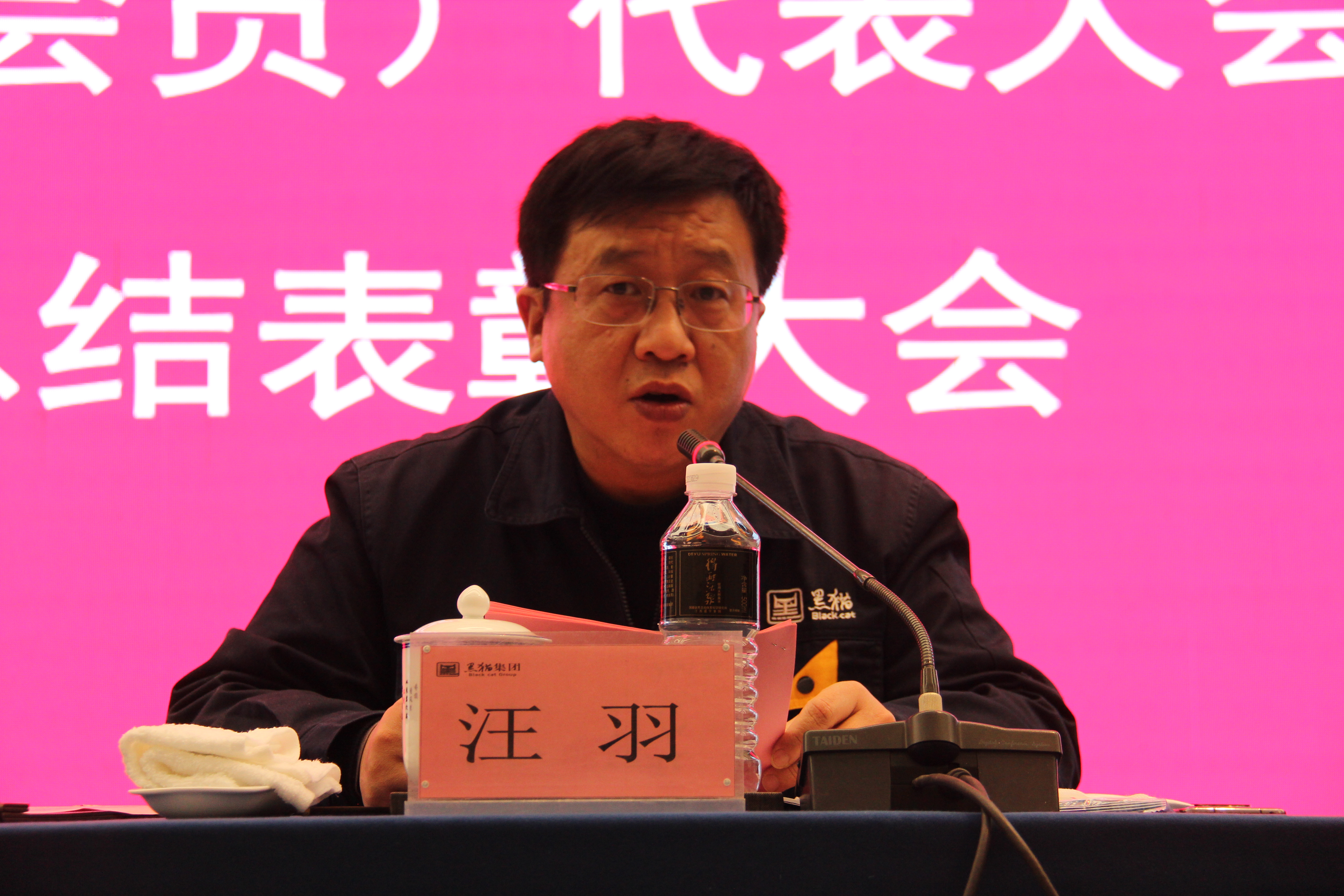 黑貓集團黨委副書記、總經(jīng)理汪羽發(fā)言 (2).JPG