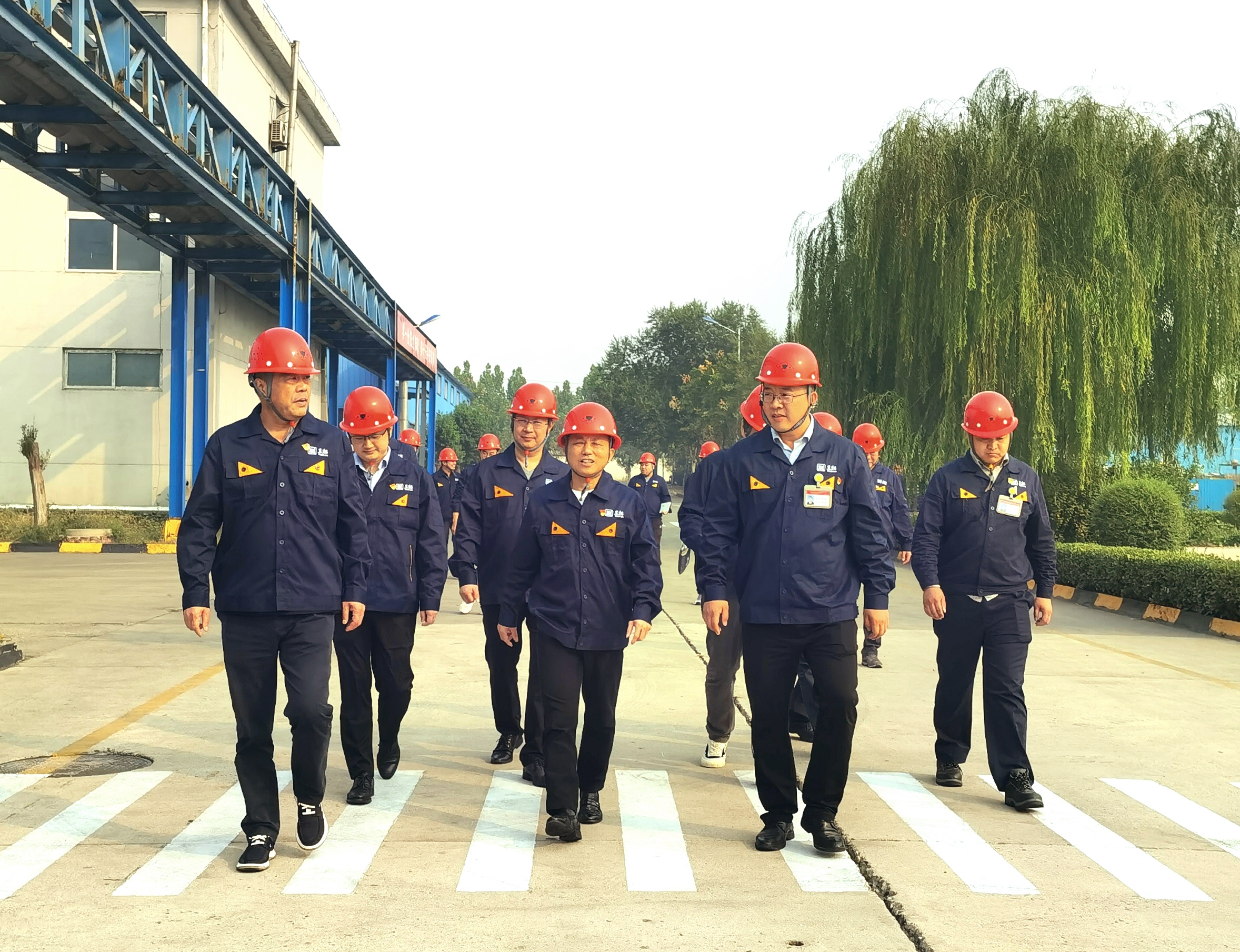 邯鄲黑貓實地調研.jpg 邯鄲黑貓實地調研.jpg