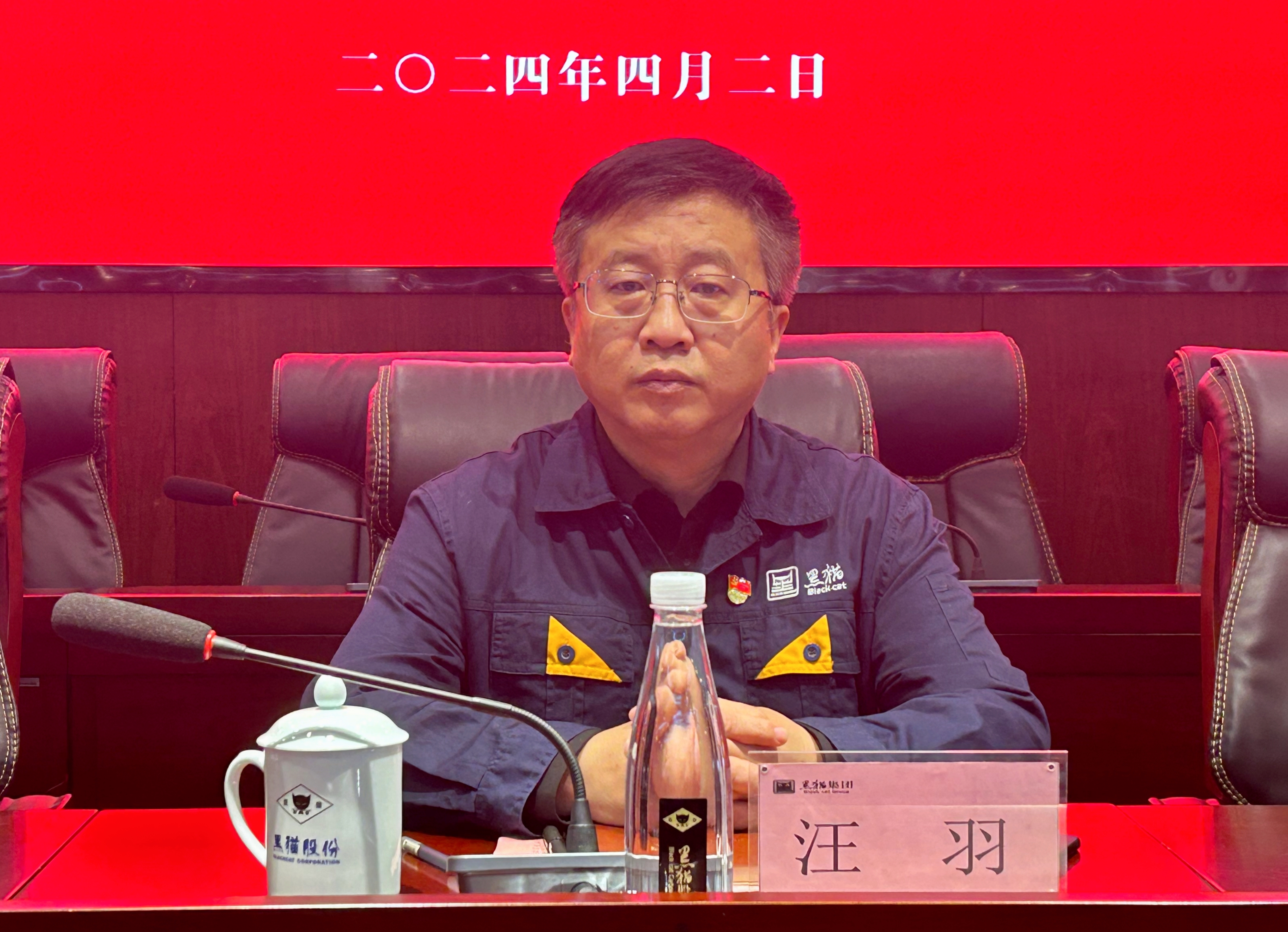 2 黑貓集團(tuán)黨委書記、董事長汪羽作講話.jpg