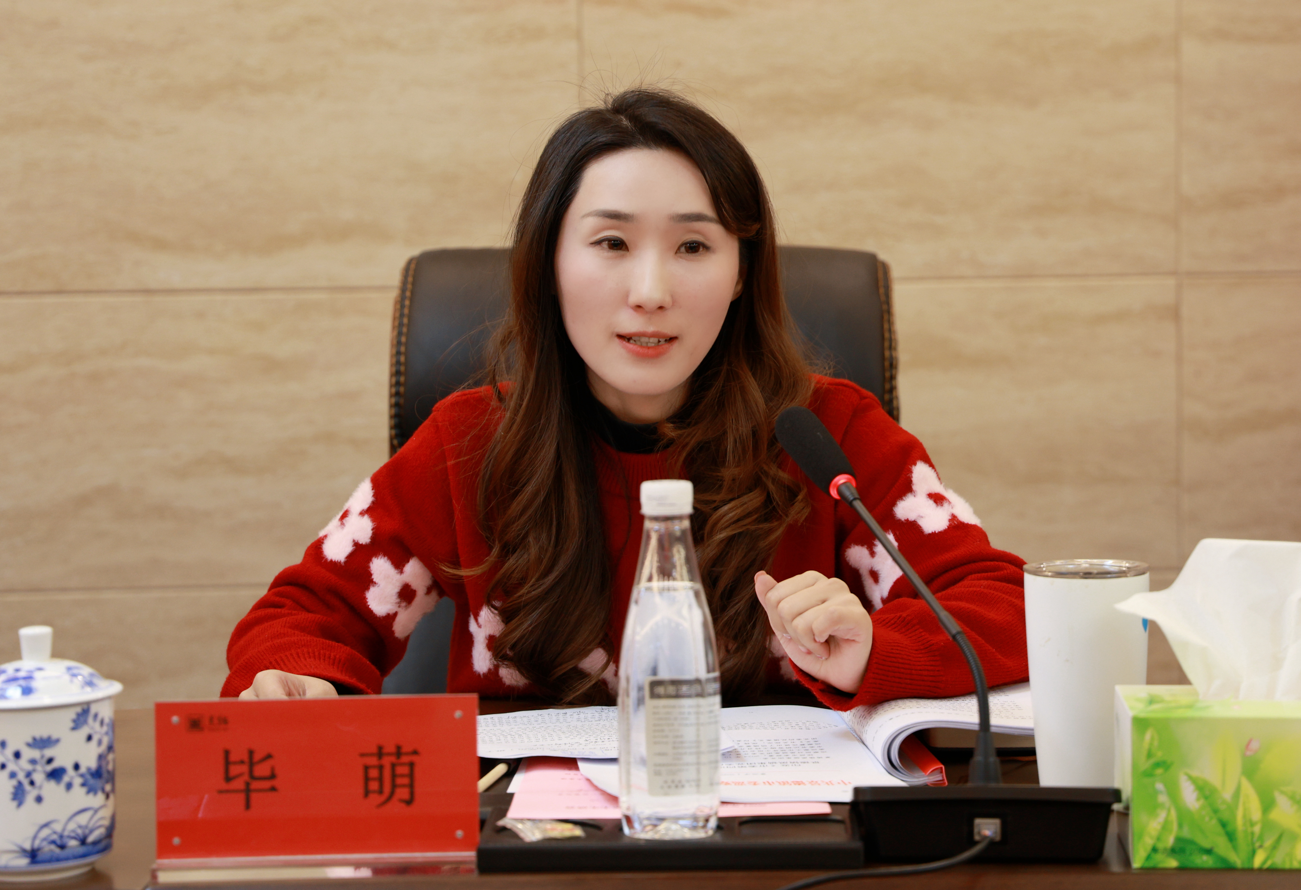 圖3 畢萌出席會(huì)議.jpg 圖3 畢萌出席會(huì)議.jpg