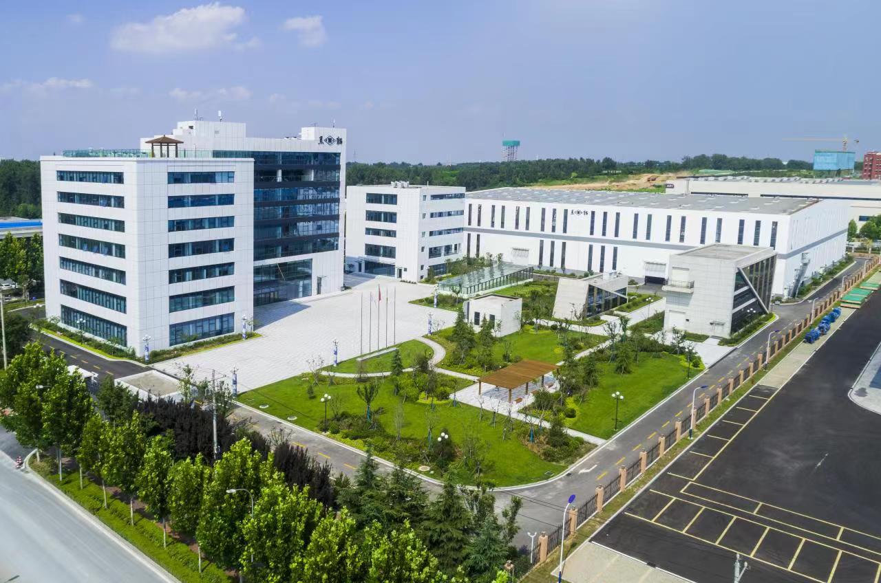 青島黑貓 (1).jpg 青島黑貓 (1).jpg